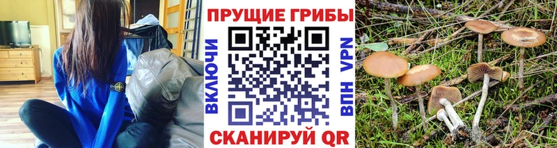 ОМГ ОМГ сайт  это официальный сайт  Галлюциногенные грибы Psilocybine cubensis  Новосибирск 
